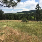 Review photo of Sawmill Hiker Campground by Two Snoops , August 5, 2019