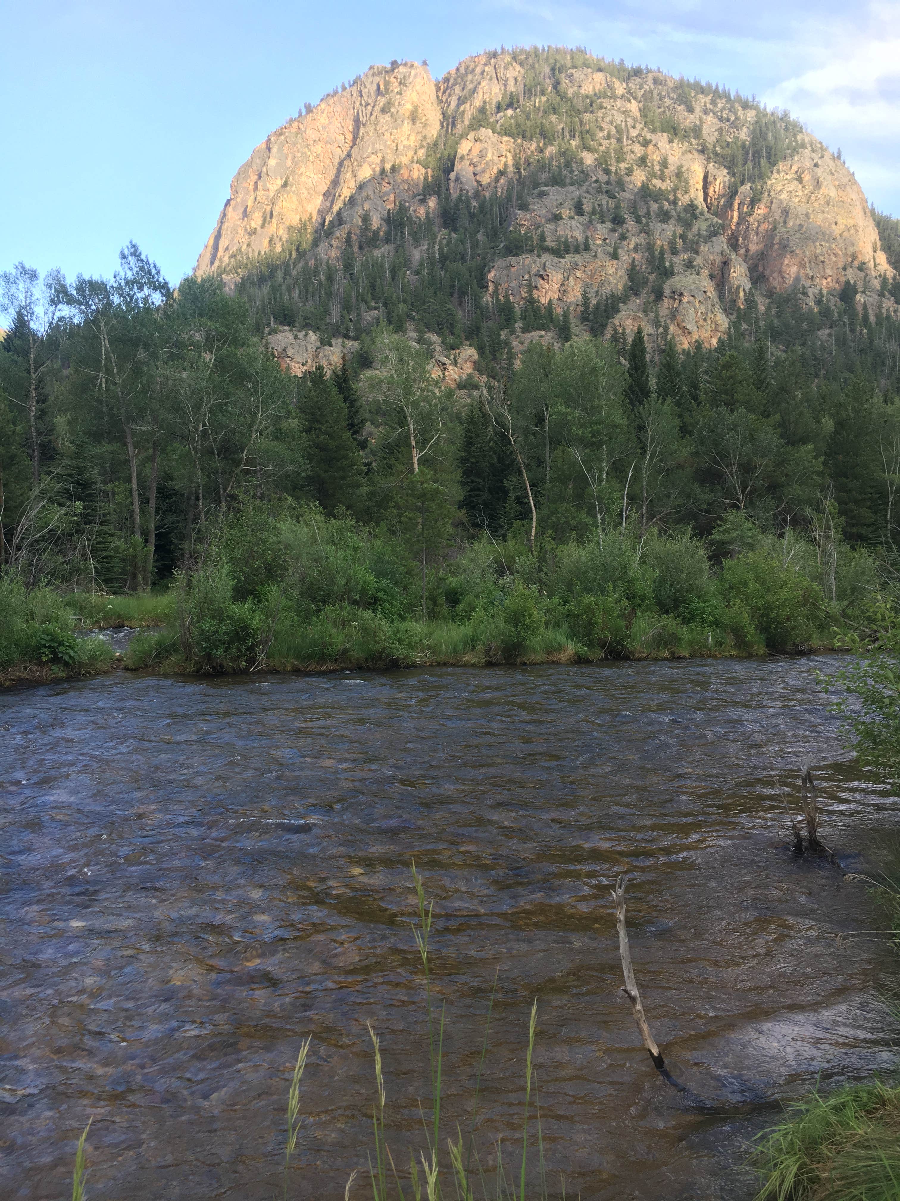 Camper submitted image from Sleeping Elephant Campground (Temporarily Closed) - 3