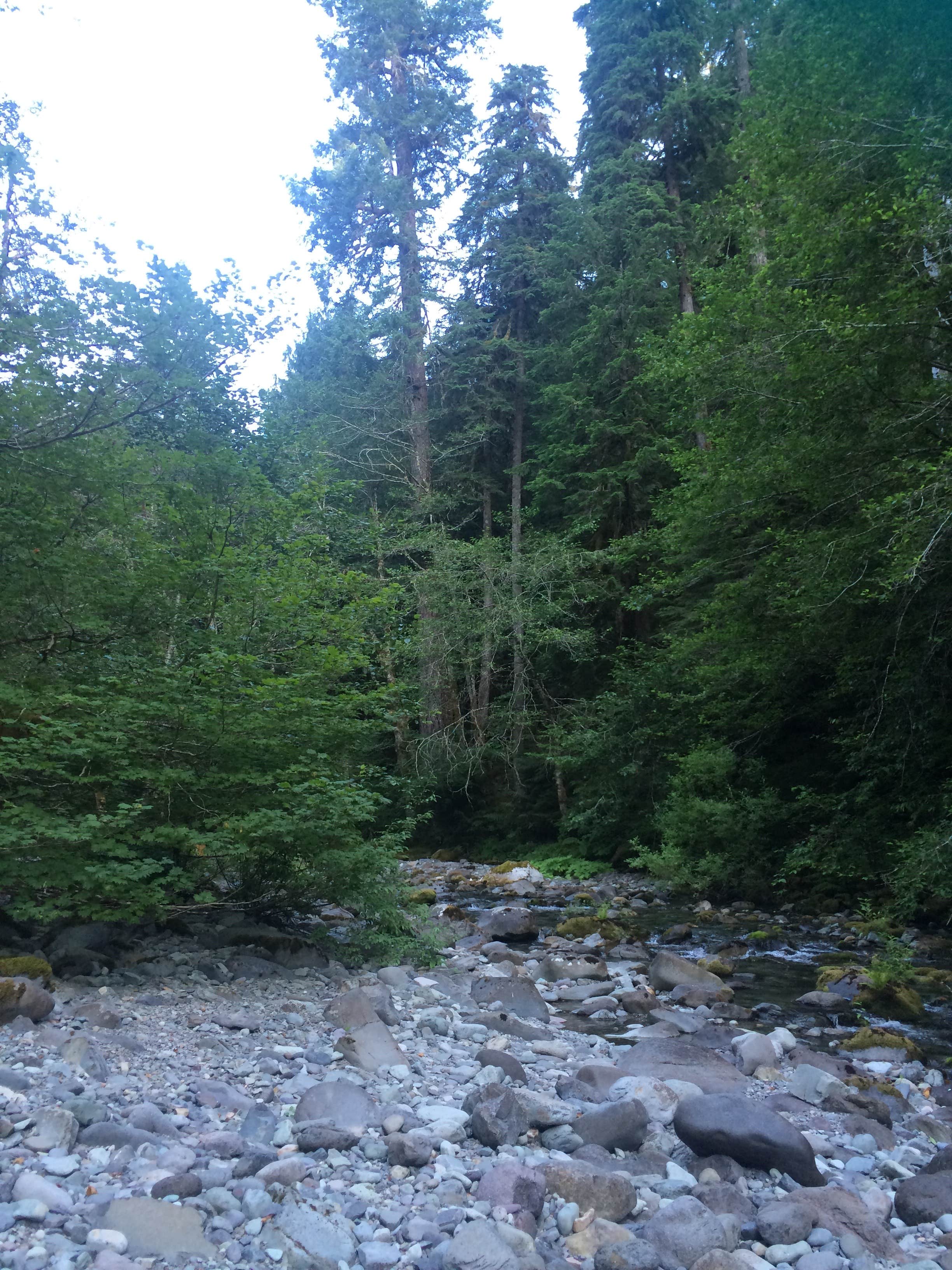 Camper-submitted photo at Opal Pool Campsites near Gates, OR