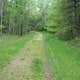 Wakeley Lake Campground — Huron Manistee National Forests