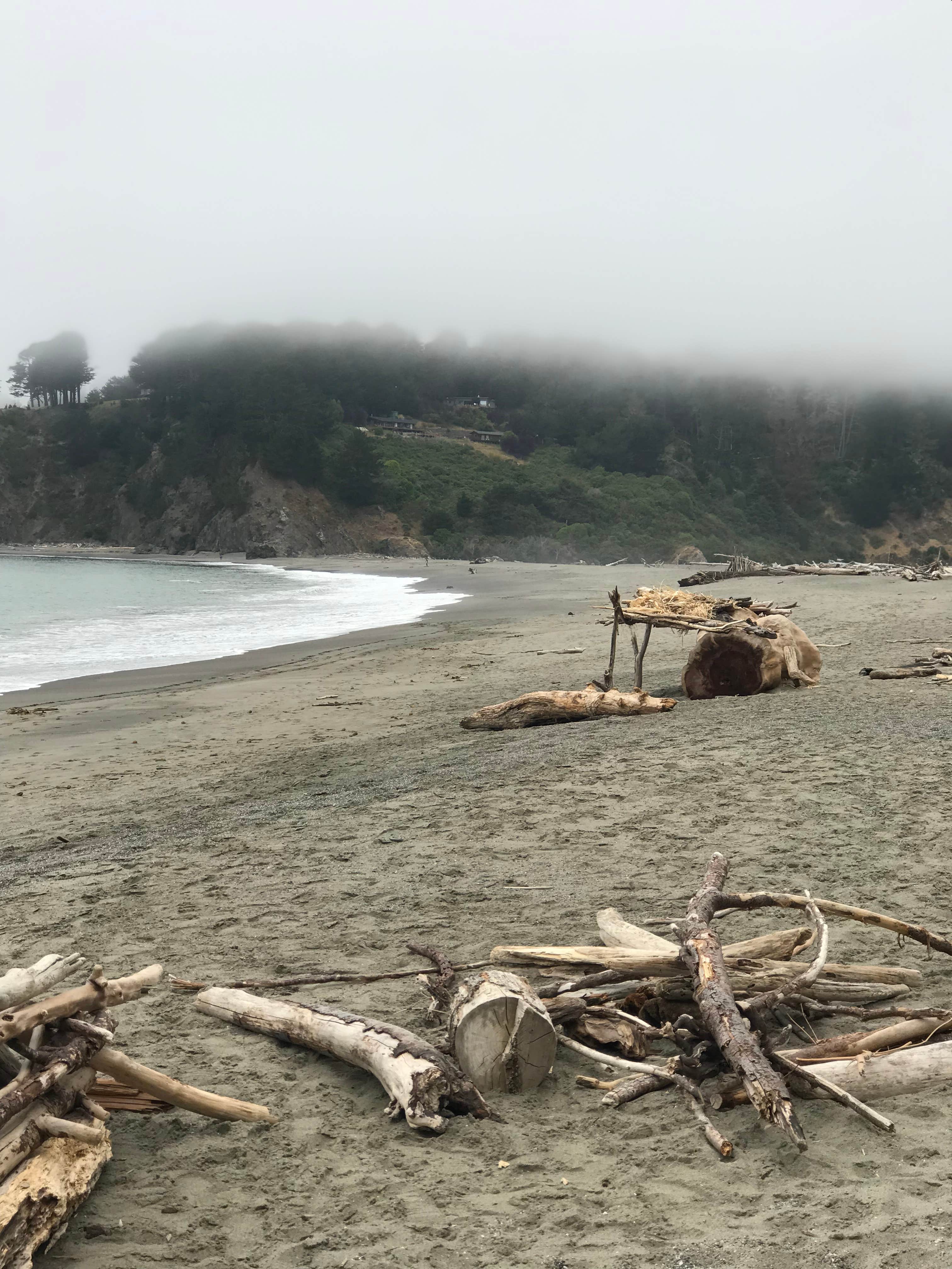 Camping near Navarro Beach - Navarro River Redwoods State Park: Navarro Beach Campground — Navarro River Redwoods State Park, Albion, California