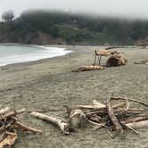 Review photo of Navarro Beach Campground — Navarro River Redwoods State Park by Melanie M., August 5, 2019