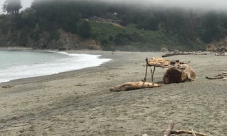 Camping near Hendy Woods State Park Campground: Navarro Beach Campground — Navarro River Redwoods State Park, Albion, California