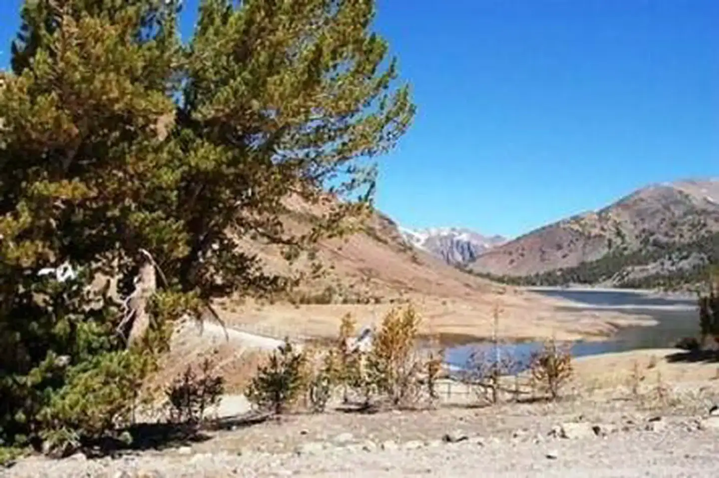 Camping near Saddlebag Lake Campground: Trailhead Group, Lee Vining, California