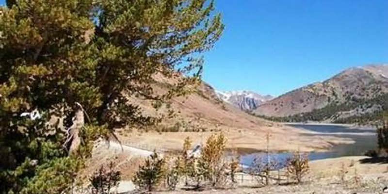 Camper submitted image from Trailhead Group