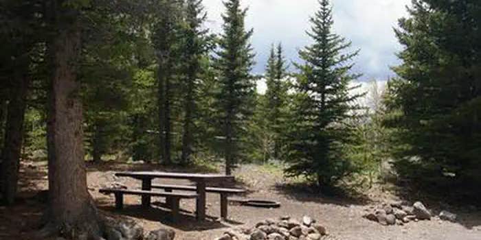 Camper submitted image from Tasha Equestrian