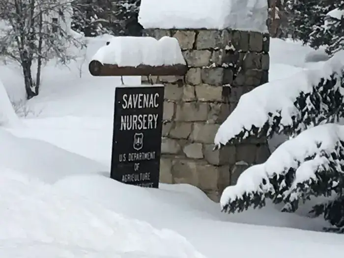 Camper-submitted photo at Savenac East Cottage (Mt) — Lolo National Forest near De Borgia, MT