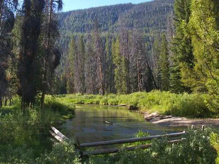 Camper submitted image from Alturas Inlet Campground - 1