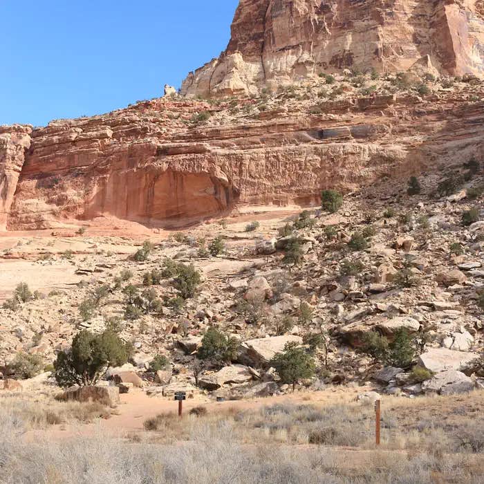 Camper submitted image from Buckhorn Draw Campground - 1