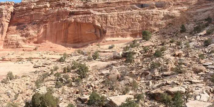 Camper submitted image from Buckhorn Draw Campground