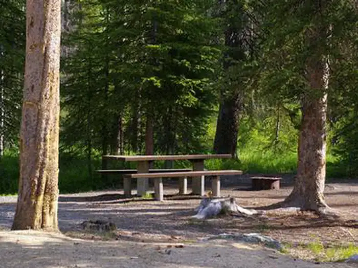 Camper-submitted photo at Alturas Inlet Campground near Clayton, ID