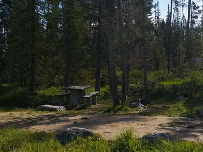 Camper-submitted photo at Alturas Inlet Campground near Clayton, ID