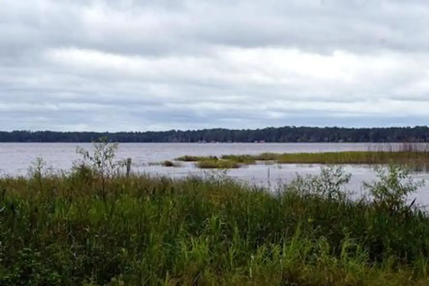 Camping near Island Oaks RV Resort: The Group Landing, Olustee, Florida