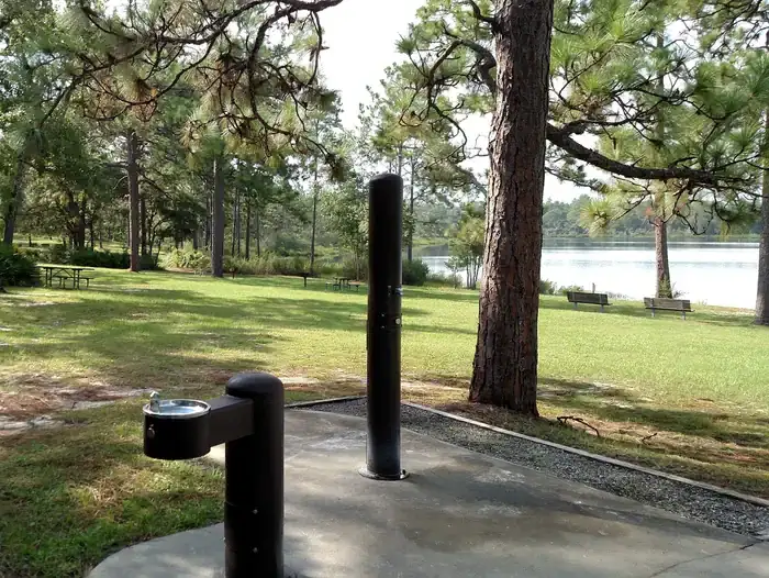 Camper-submitted photo at Camel Lake Campground near Apalachicola National Forest