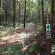 Willis Knob Horse Camp