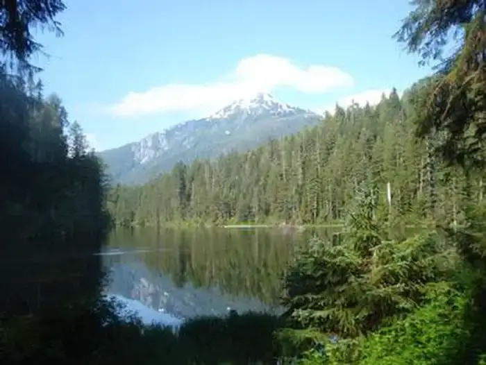 Camper-submitted photo at Wilson Narrows Cabin near Hyder, AK