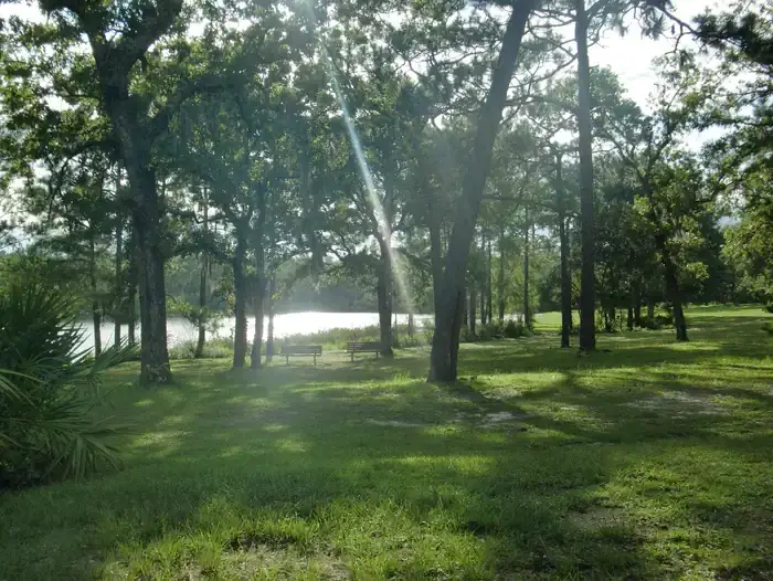 Camper-submitted photo at Camel Lake Campground near Apalachicola National Forest