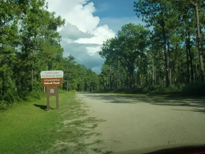 Camper-submitted photo at Camel Lake Campground near Apalachicola National Forest