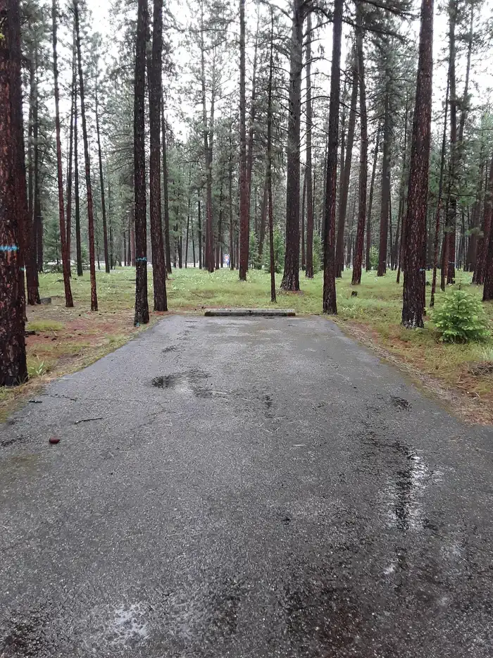 Camping near Ninemile Area: Quartz Flats Campground, Superior, Montana