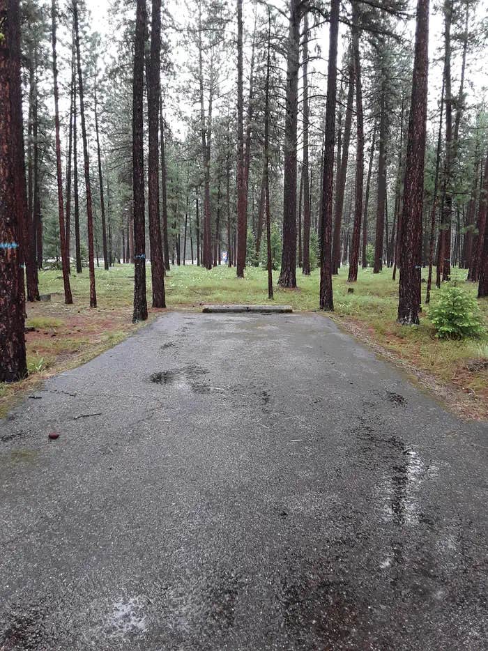 Camper submitted image from Quartz Flats Campground - 1