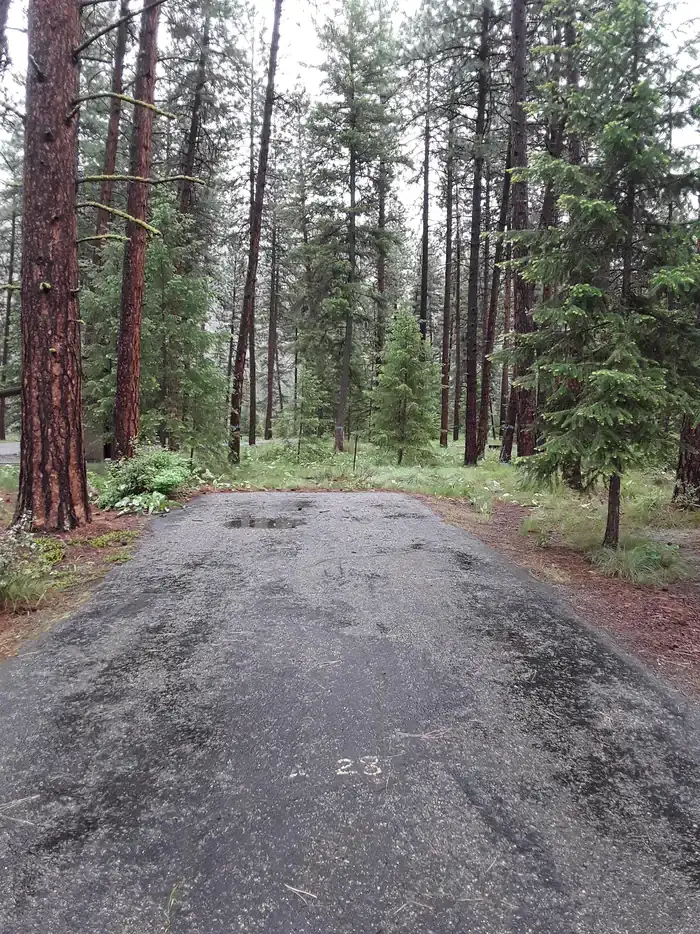 Camper-submitted photo at Quartz Flats Campground near Superior, MT