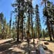 Fir Group Campground