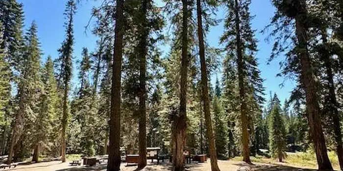 Camper submitted image from Fir Group Campground