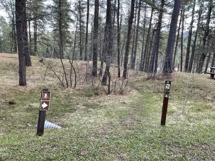 Camper-submitted photo at Black Hills National Forest Cook Lake Campground near Devils Tower National Monument