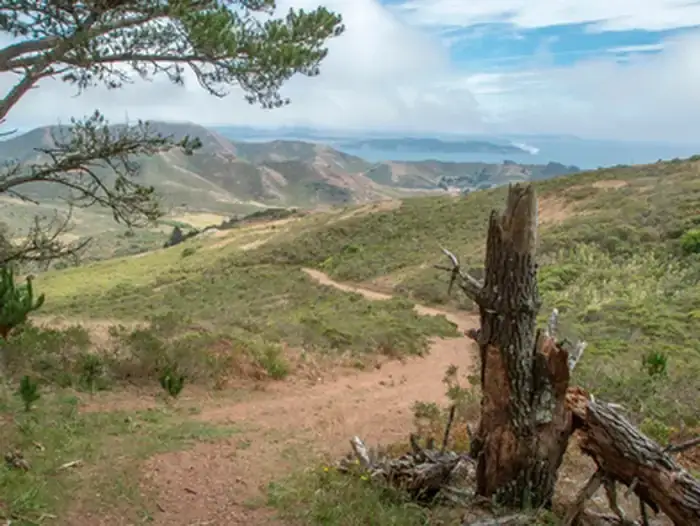 Camper-submitted photo at Hawk Campground — Golden Gate National Recreation Area near Daly City, CA