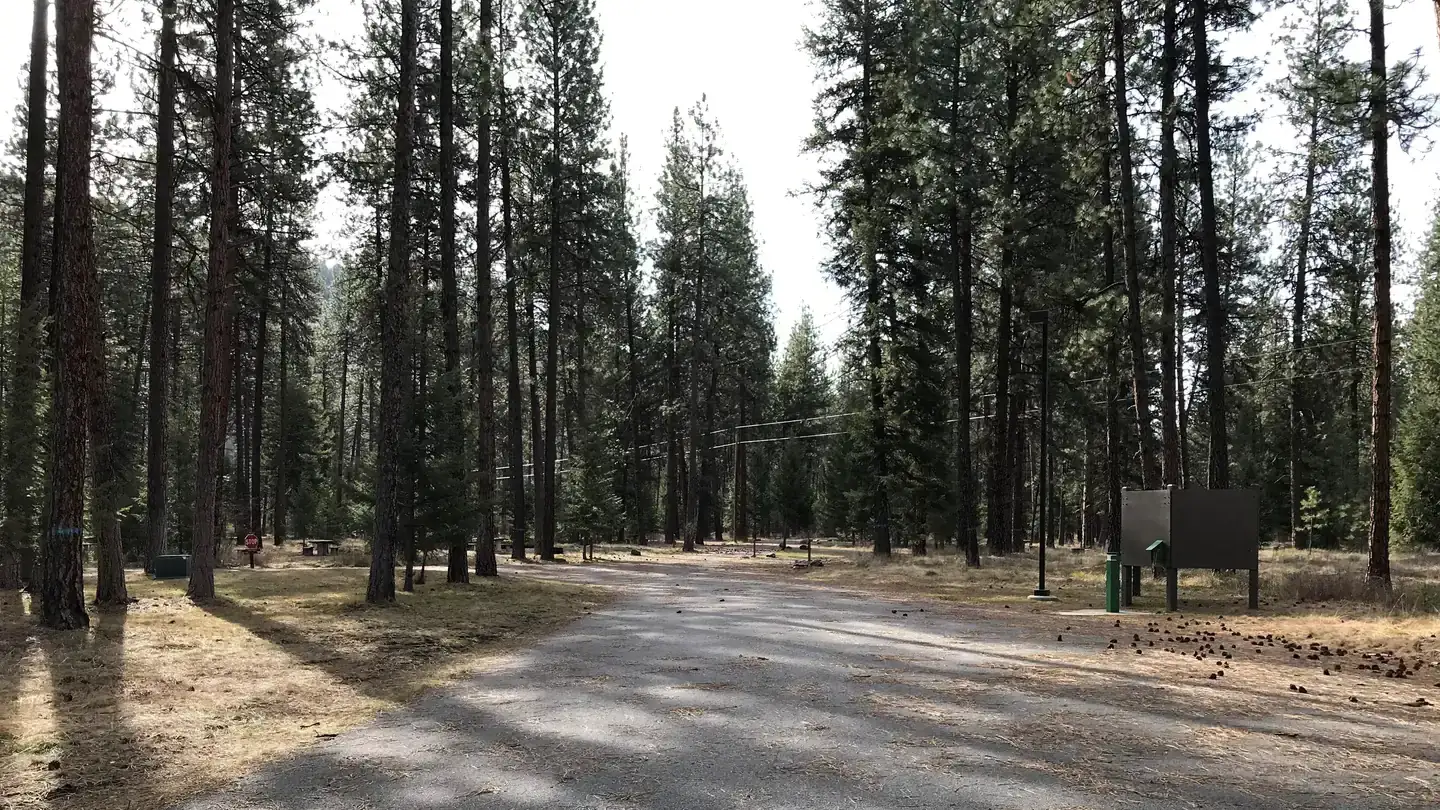 Camper-submitted photo at Quartz Flats Campground near Superior, MT