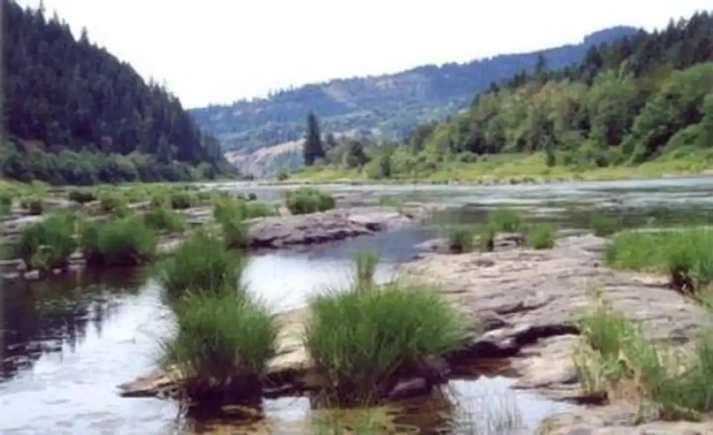 Tyee Campground (umpqua River)