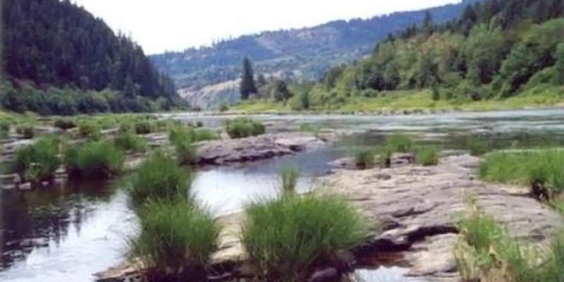 Camper submitted image from Tyee Campground (umpqua River)