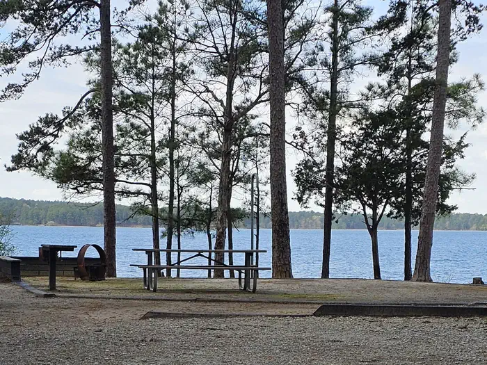 Camper-submitted photo at Ridge Road - J Strom Thurmond Lake near J. Strom Thurmond Lake