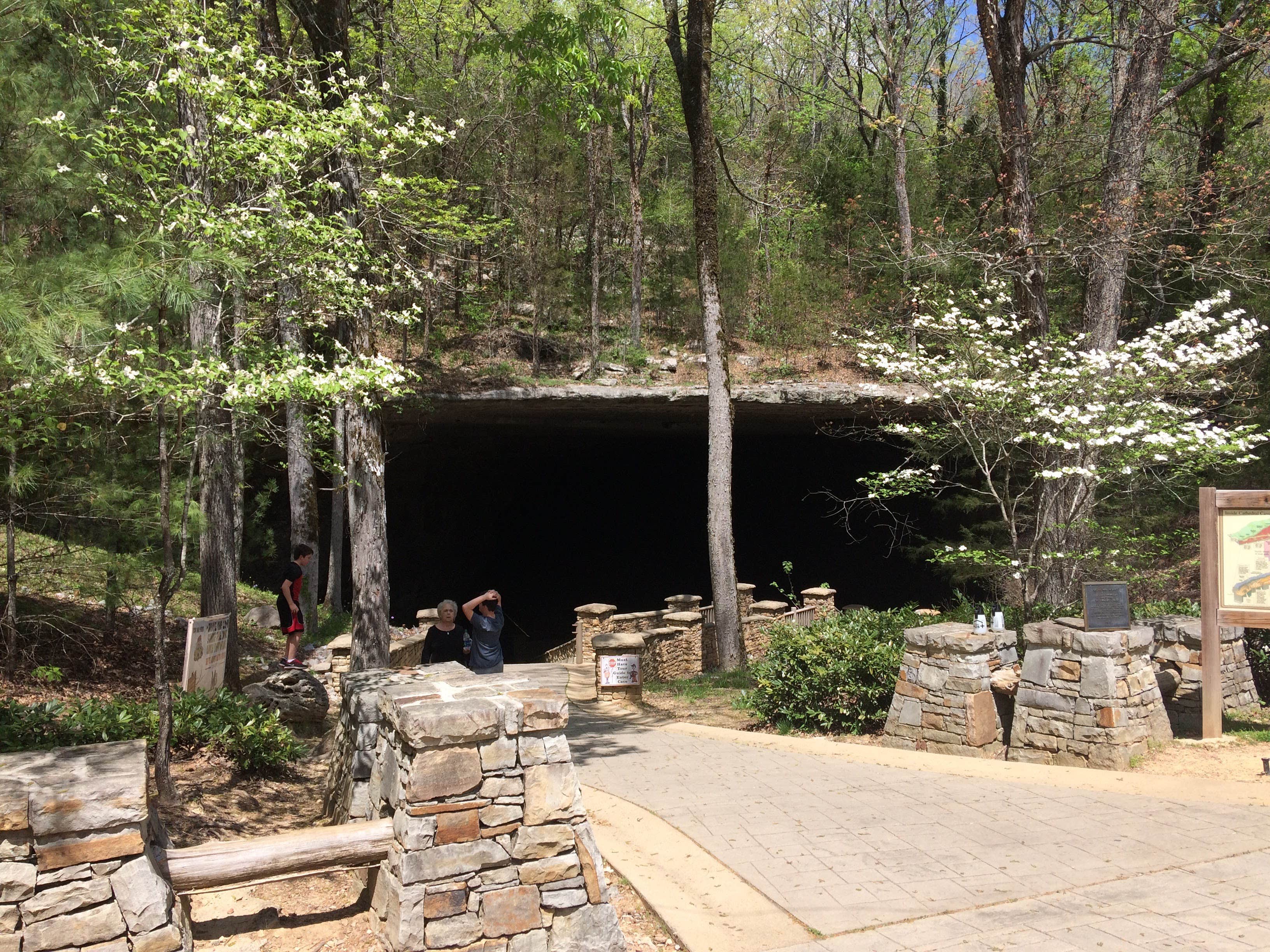 Camper submitted image from Cathedral Caverns State Park Campground - 1