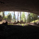 Review photo of Cathedral Caverns State Park Campground by Tony C., August 5, 2019