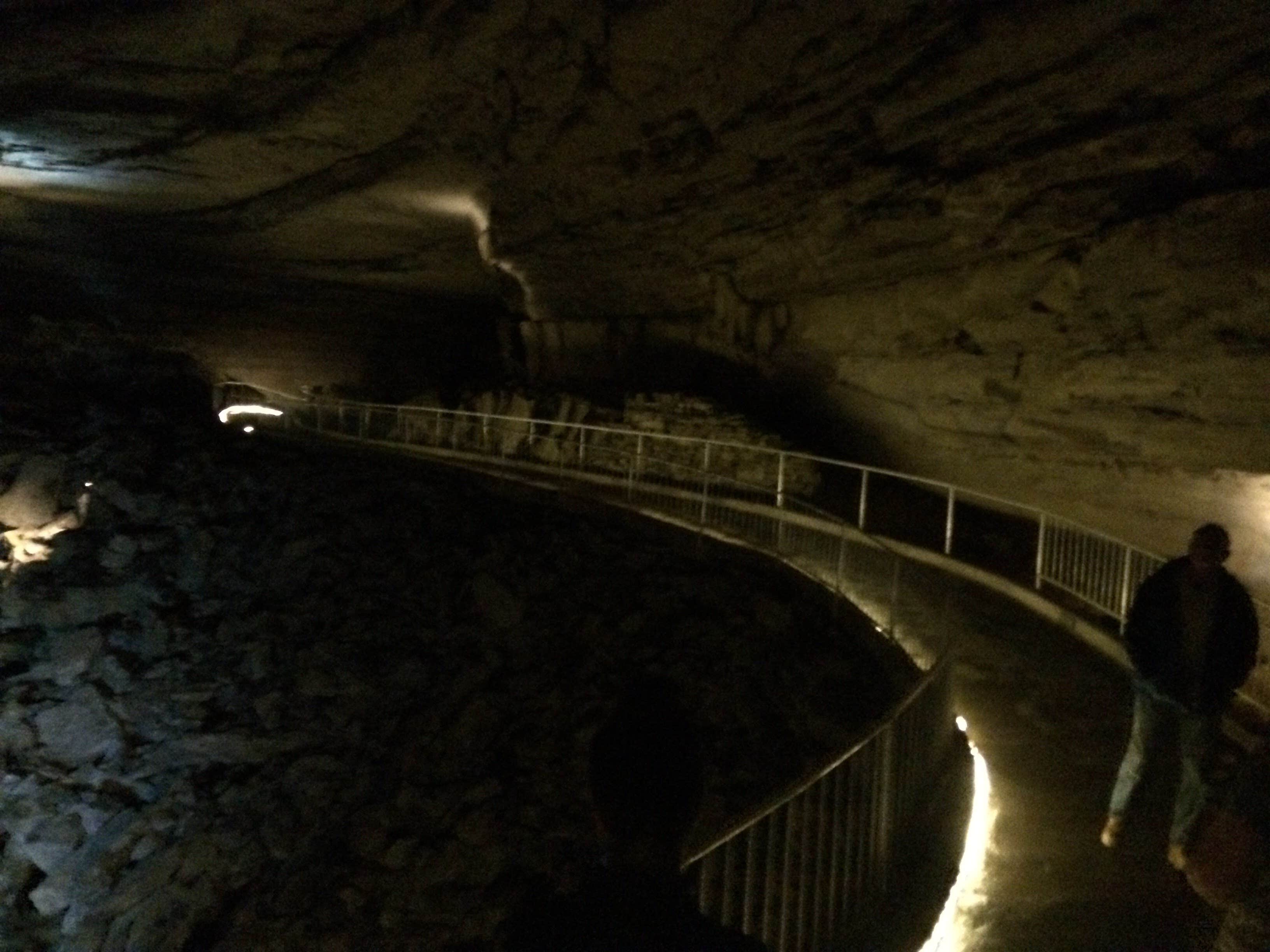 Camper submitted image from Cathedral Caverns State Park Campground - 3