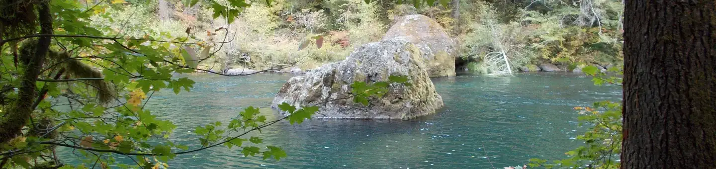 Camping near Camas Creek Campground: Boulder Flat Campground, Clearwater, Oregon