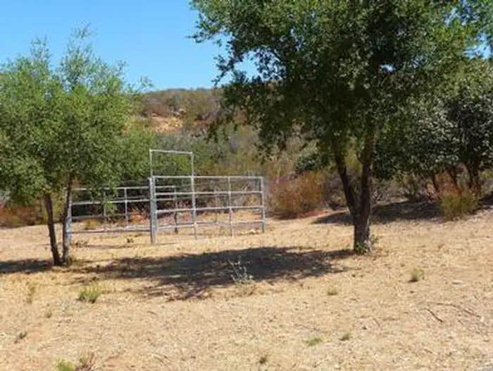 Camper submitted image from Dripping Springs Campground - 1