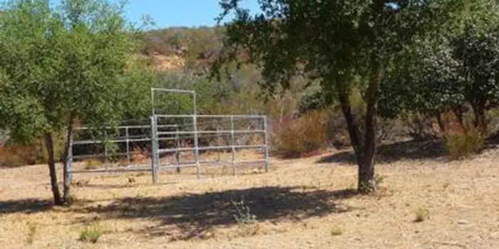 Camper submitted image from Dripping Springs Campground