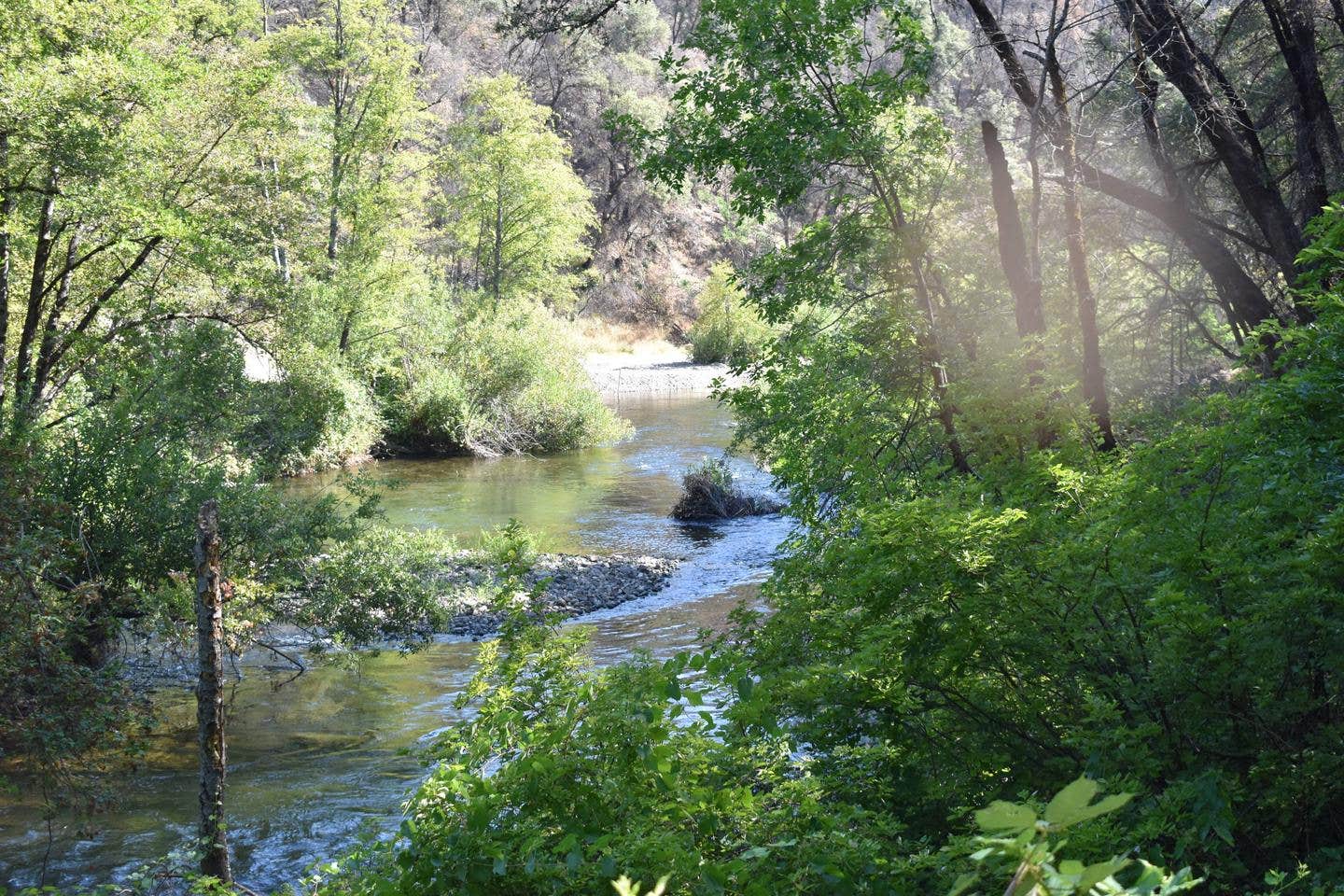 Camper submitted image from Peltier Bridge Primitive Campground — Whiskeytown-Shasta-Trinity National Recreation Area - 1