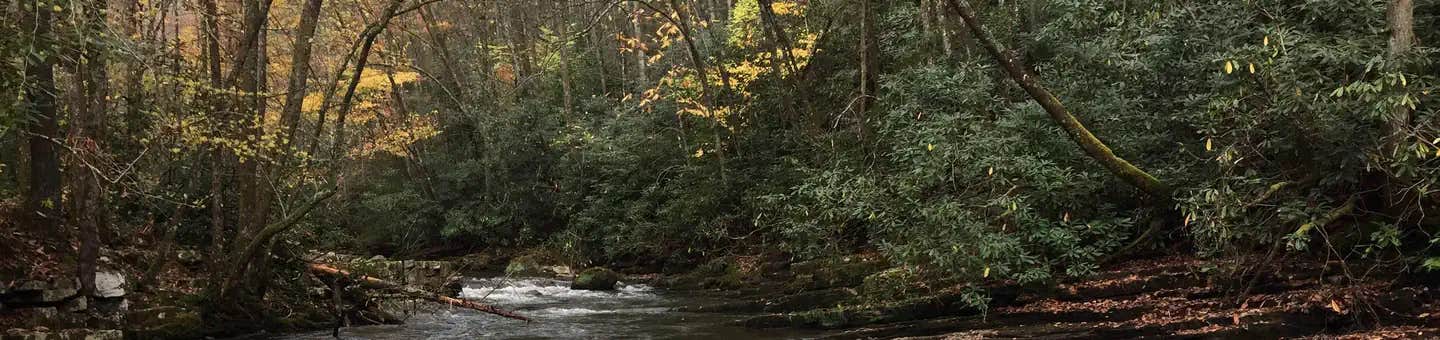Camper submitted image from Backbone Rock Recreation Area Pavilions and Campground - 1