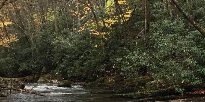 Camper submitted image from Backbone Rock Recreation Area Pavilions and Campground