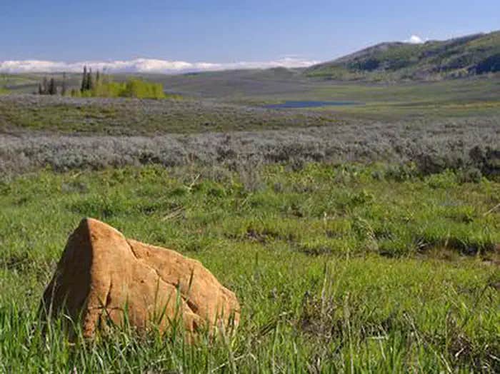 Camper submitted image from Gooseberry Creek Campground - 1