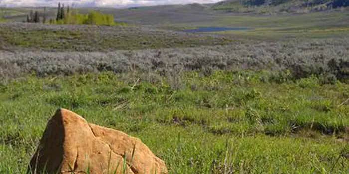 Camper submitted image from Gooseberry Creek Campground