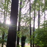 Review photo of Battle Ground Lake State Park Campground by Corinna B., September 24, 2016