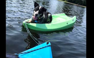 The Dyrt's photo of camping with pets at Belle Vue Pond and River Haven near Saratoga Springs, NY