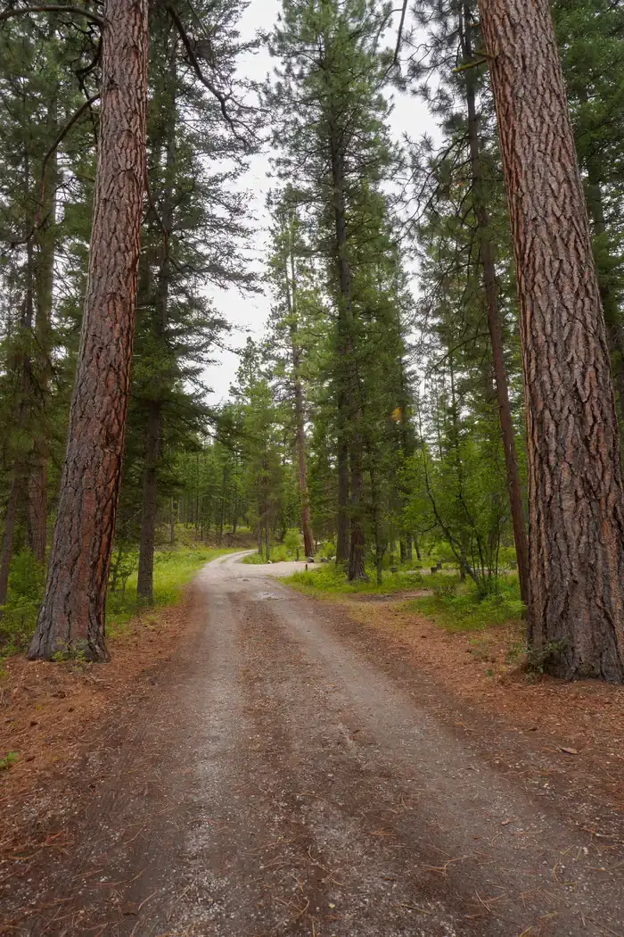 Camper-submitted photo at Rombo Campground near Gibbonsville, ID