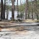 Hawe Creek - J Strom Thurmond Lake