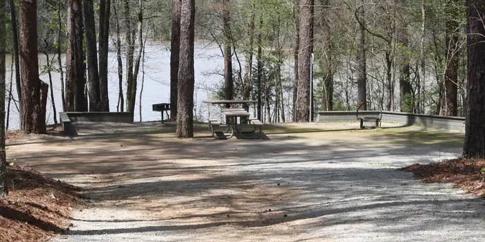 Camper submitted image from Hawe Creek - J Strom Thurmond Lake
