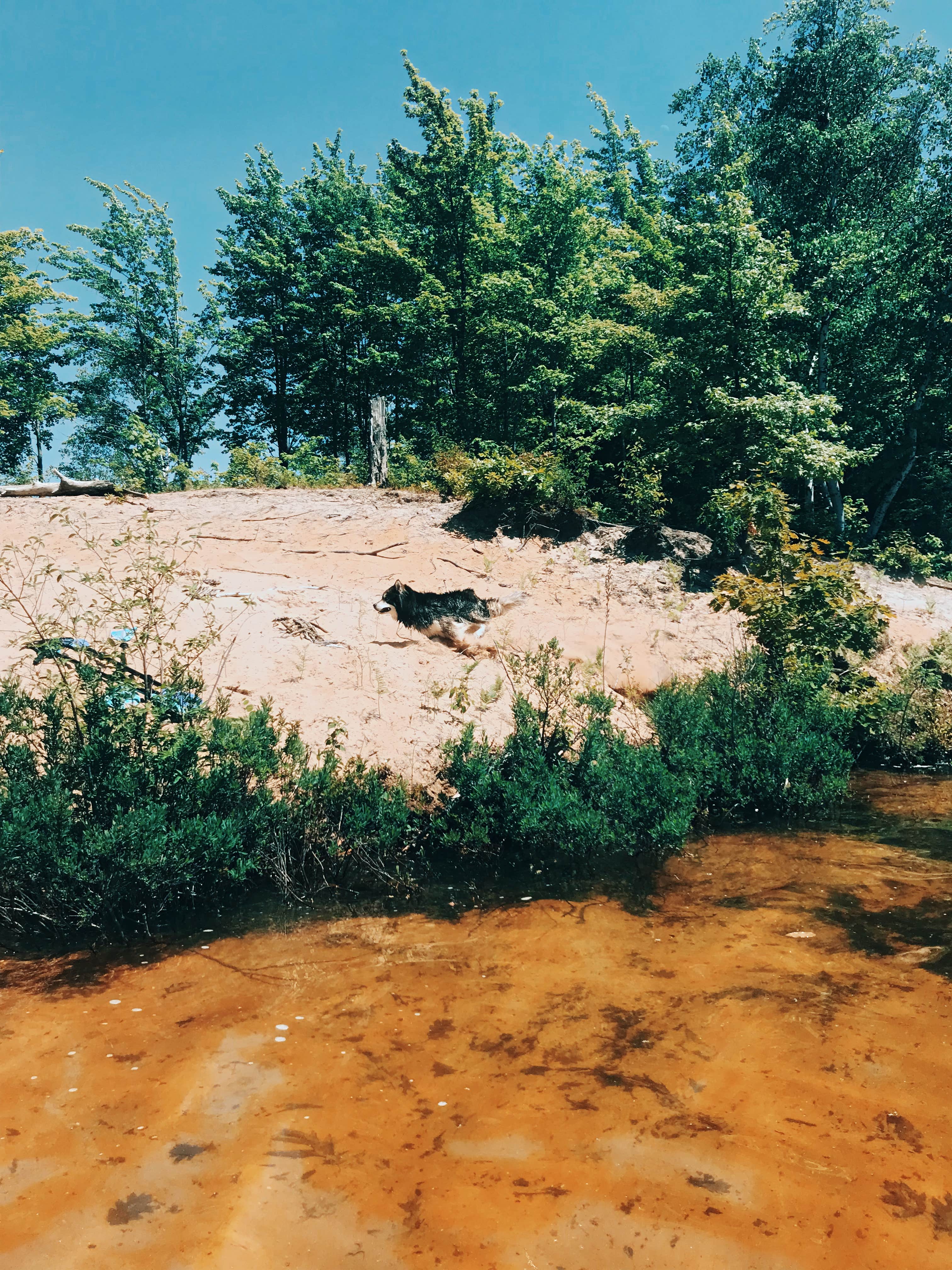 Camper-submitted photo at Lake Dubonnet Trail Camp near Lake Ann, MI